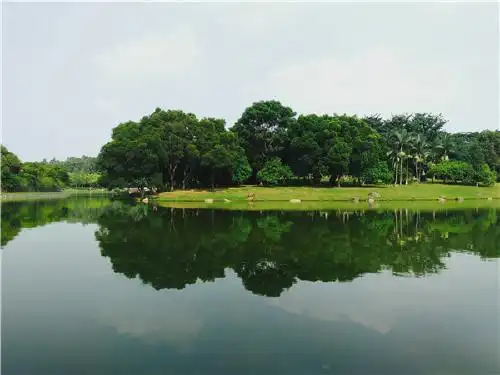 东莞周边优美环境农家乐生态旅游推荐松湖生态园体验