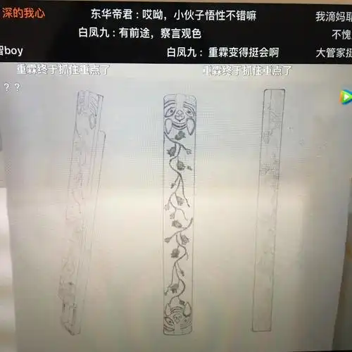 看到凤九的剑匣,我