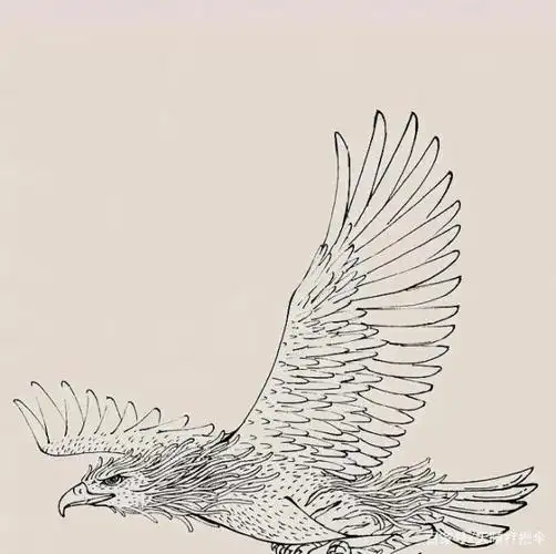 神话传说中那些惹祸的鸟儿们,随便出来一只都要人命