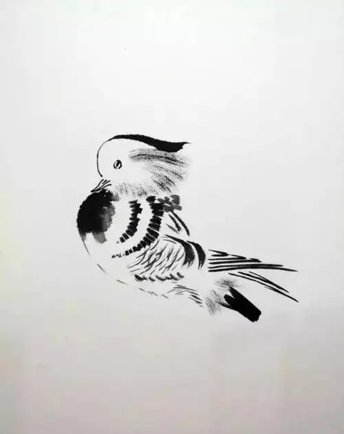 鸳鸯的写意画法及步骤示范