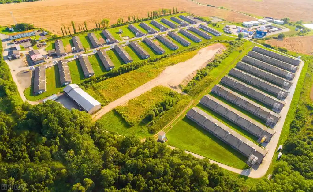 美国猪场的7大技术,你的猪场能用几条?