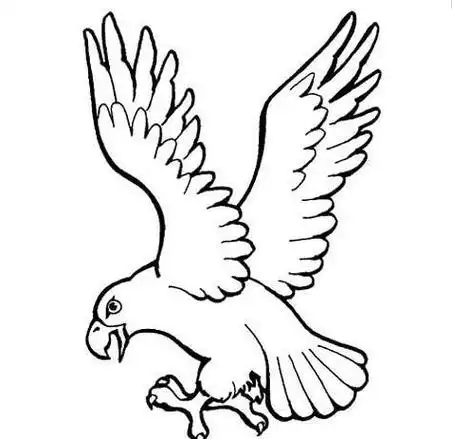 飞翔的雄鹰简笔画 老鹰