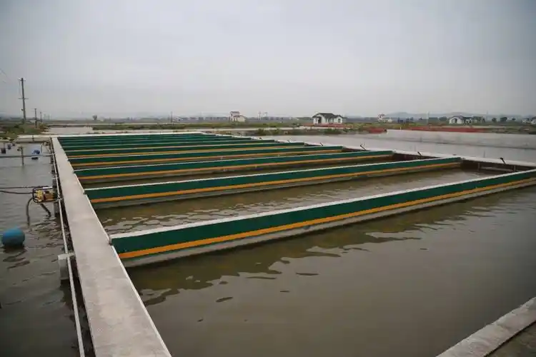 杂交黄颡鱼"黄优1号"人工繁殖及健康养殖技术_淡水鱼类_西南渔业网