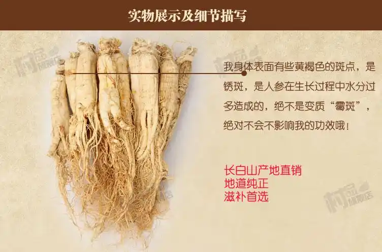 长白山特产人参含多种维生素氨基酸,人参等有效成份具有:补肾益气,键