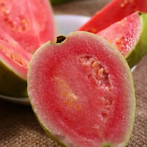 福建红心芭乐番石榴5斤新鲜当季水果潘芭乐胭脂红芭乐