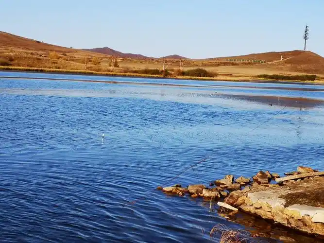 乌兰布统红松湖日更