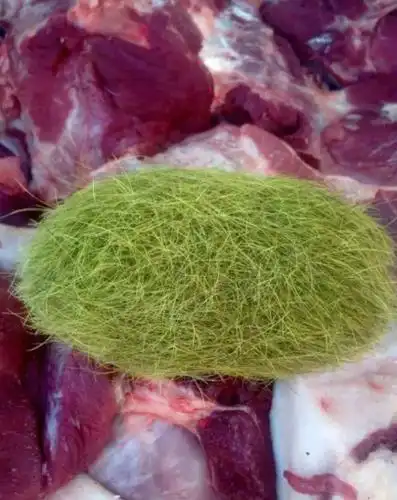 曝泉州一母猪肚中现名贵猪砂值600万 专家:系一团猪毛