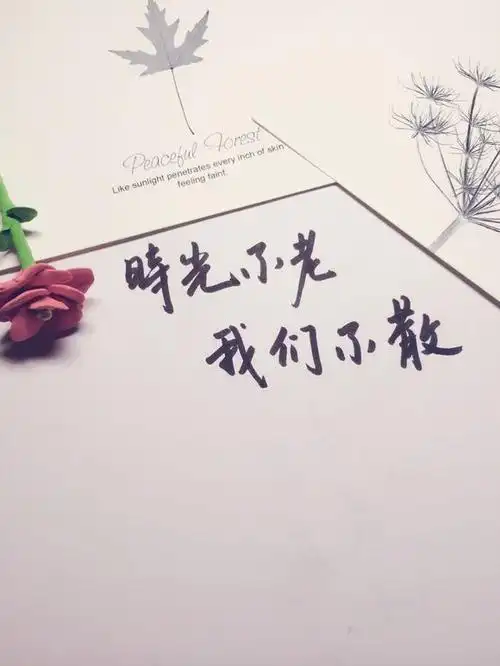 时光不老,我们不散.