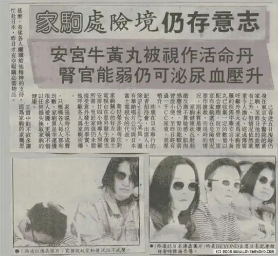 这个杀手不太冷