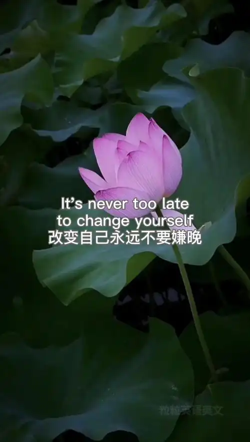 英语美文英语文案改变自己永远不要嫌晚