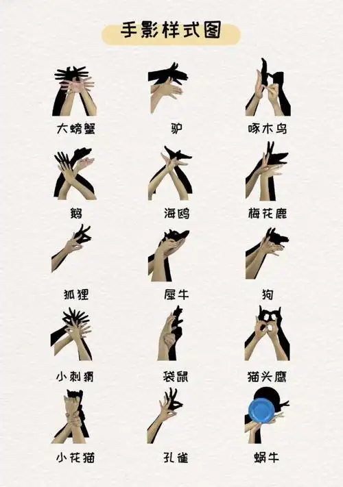 科创趣手影,长假共欢享一上虞阳光学校三年级