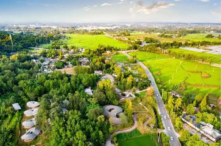 大饱眼福!60幅作品看成都农村公路巨变