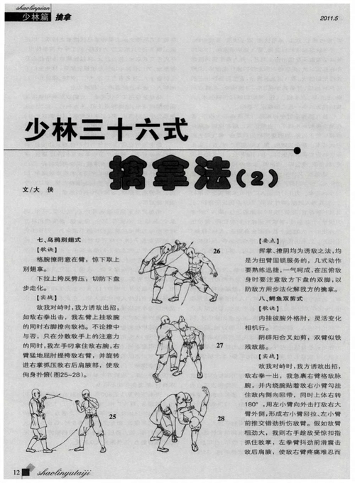 少林三十六式擒拿法(2)