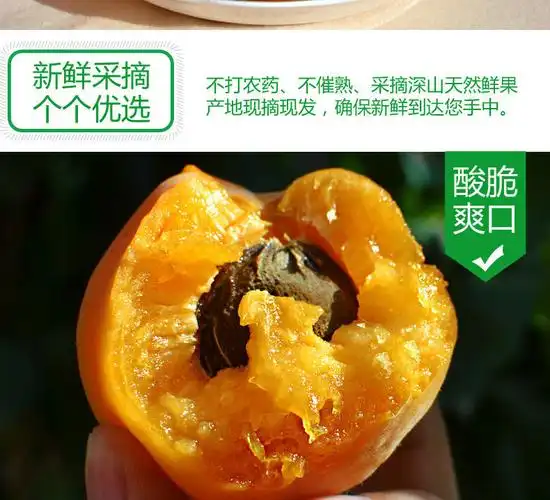 现摘现发大黄杏软杏子金太阳陕西时令香甜杏5斤应季孕妇新鲜水果大果