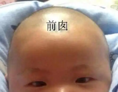 宝宝这个部位说明他聪不聪明,聪明宝宝都长这个样