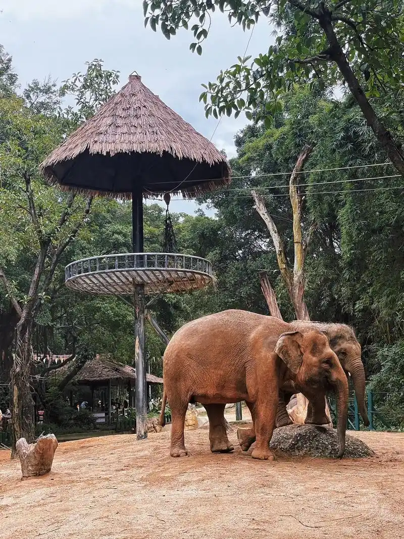 地址:广州市番禺区长隆野生动物园(有停车 - 抖音