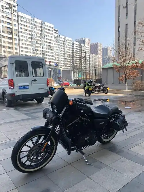 oiltiger大贸14年哈雷883n硬汉
