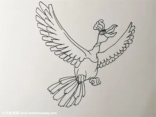 神奇宝贝凤王简笔画教程