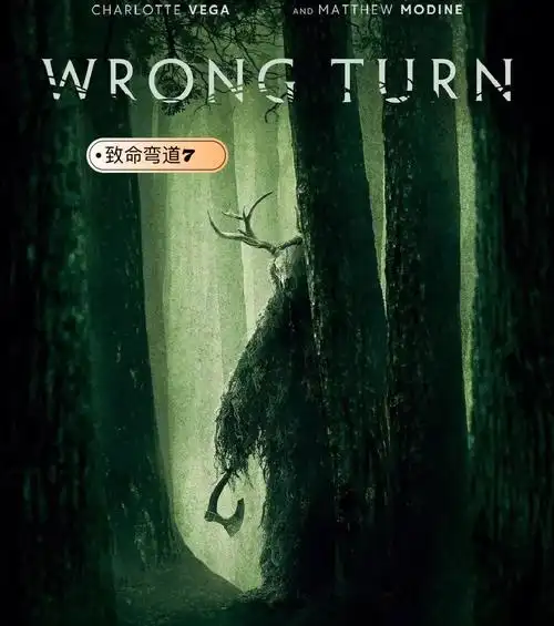 不剧透,只讲观后感,帮助大家种草或避免踩雷浪费时间《致命弯道7》不