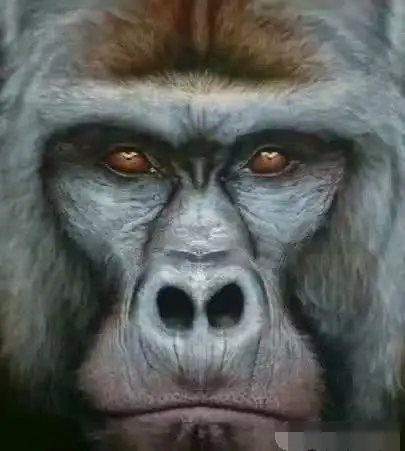 超准测试:选出你最害怕的眼神,测试最近你为什么这么累