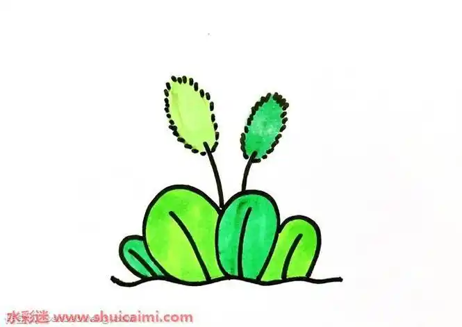 小草怎么画简笔画大图