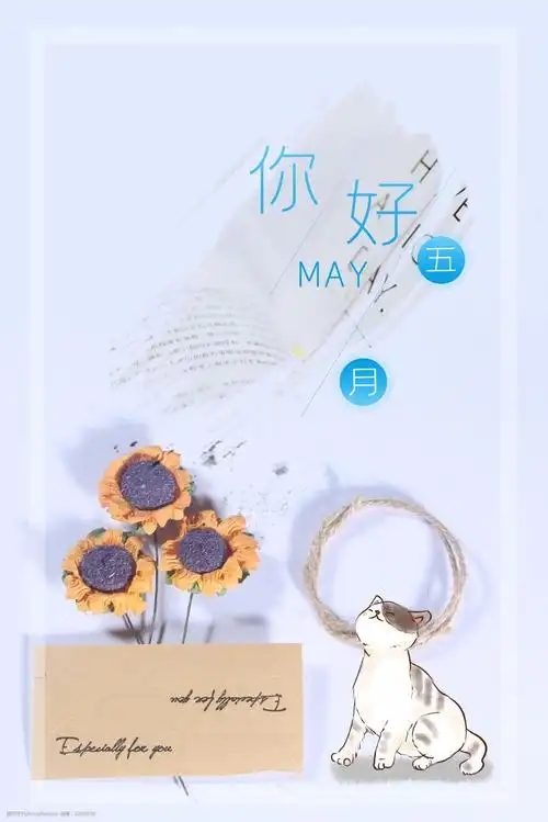 简约文艺五月你好猫背景海报