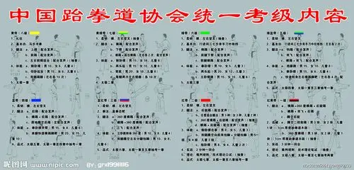 跆拳道详细考级内容有哪些