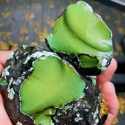 绿松石有几种颜色?超乎你想象