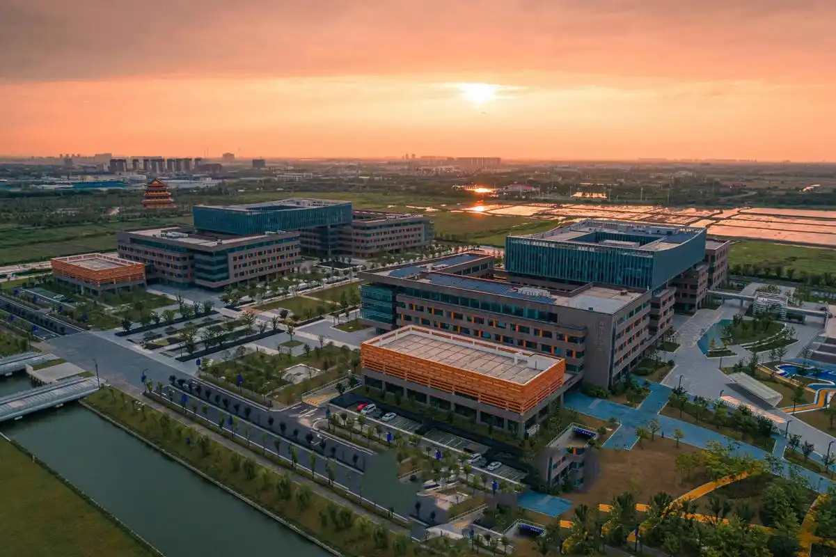 来太仓有四个月了,愈发喜欢这里!