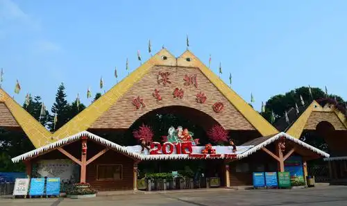 深圳十大亲子游景点深圳带孩子去哪玩好深圳适合亲子游10个好地方