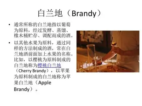 白兰地ppt