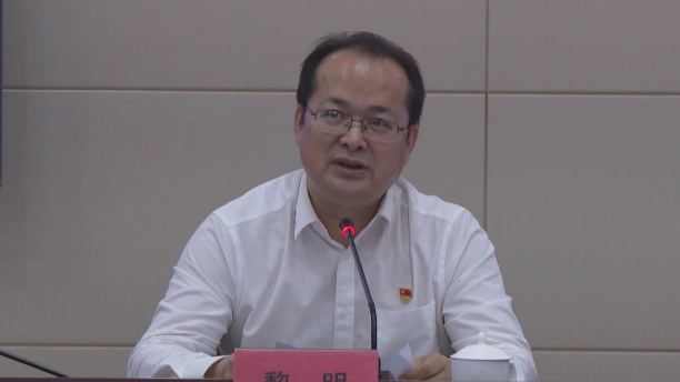 【奋斗百年路 启航新征程】我县召开村党组织书记工作交流视频会