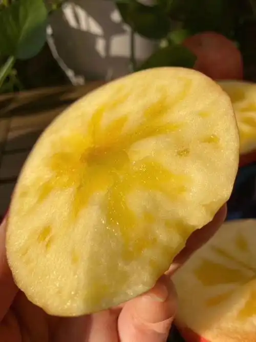 阿克苏冰糖心苹果,一件代发,不包邮看清楚在下单