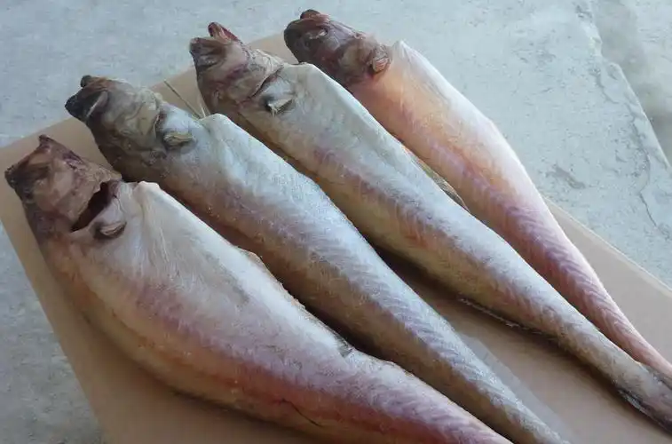 朝鲜人的"救命鱼",浑身都是宝,为啥明太鱼在中国很少有人吃?