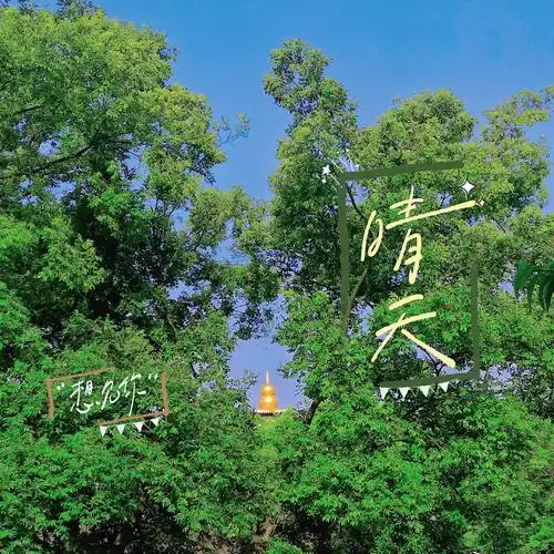 总要爱着点什么恰似草木对光阴的钟情