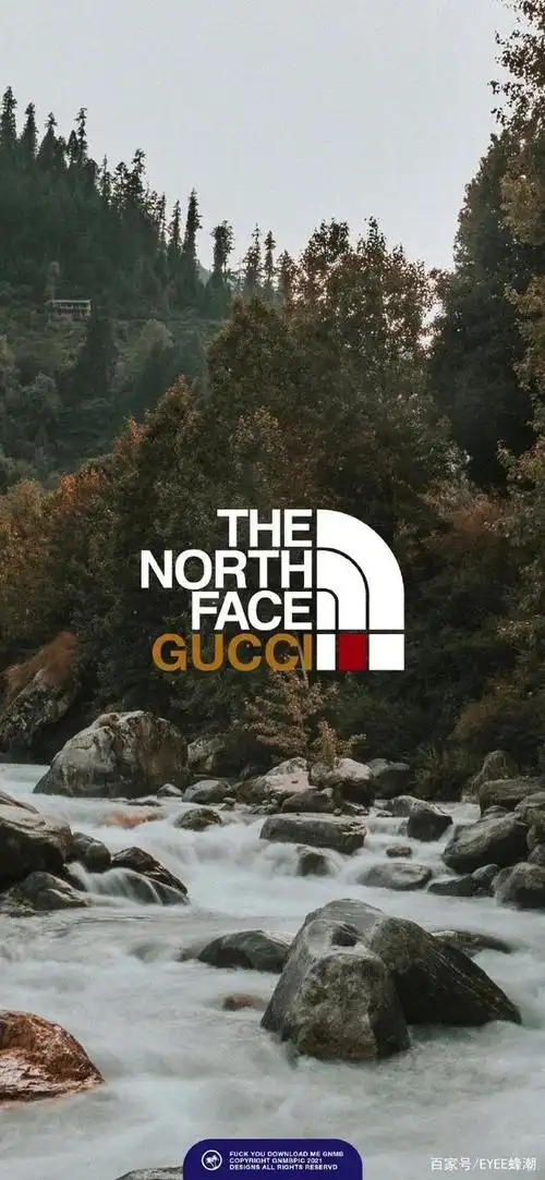 壁纸丨全 员北面