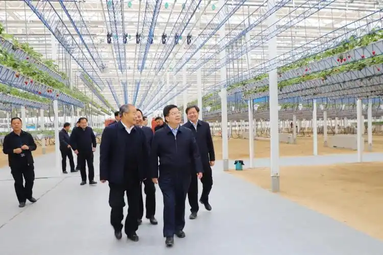 长陈陈平来到信发现代农业产业园,平聊强06app8499走进加州鲈鱼生态