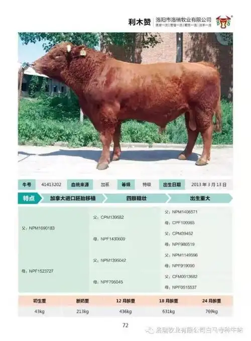 回复种公牛站编号及种公站名称种公站查询