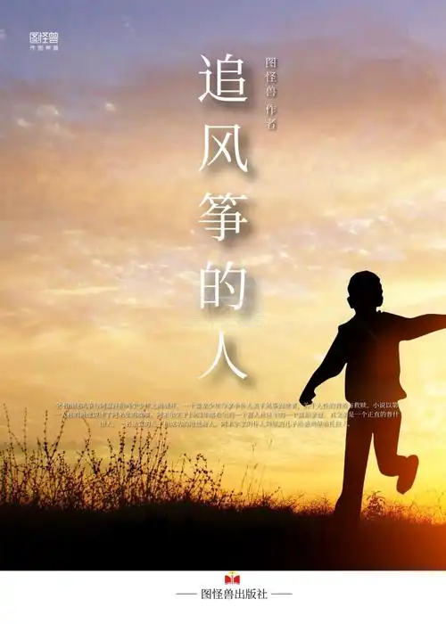 追风筝的人文学夕阳书籍封面