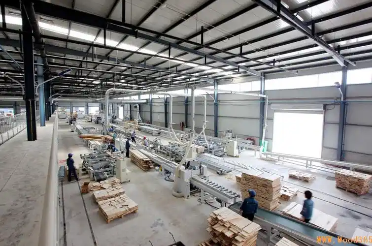爱美森:开创木材绿色环保生态之路 - 中国木业网