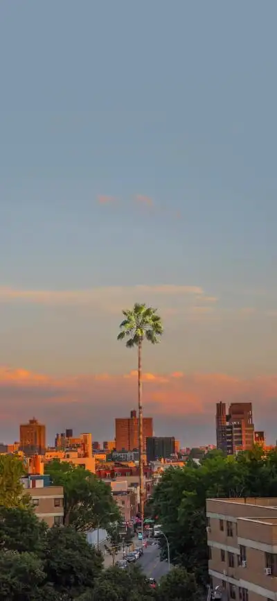 聊天背景/苹果11/锁屏/壁纸