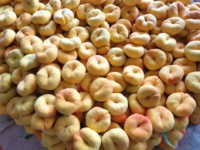 1/ 12 【山东成鹏苗木拍摄】黄金毛蟠桃新品种,7月