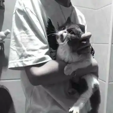 抱猫男头男生抱在怀里猫咪头像男生头像潮人
