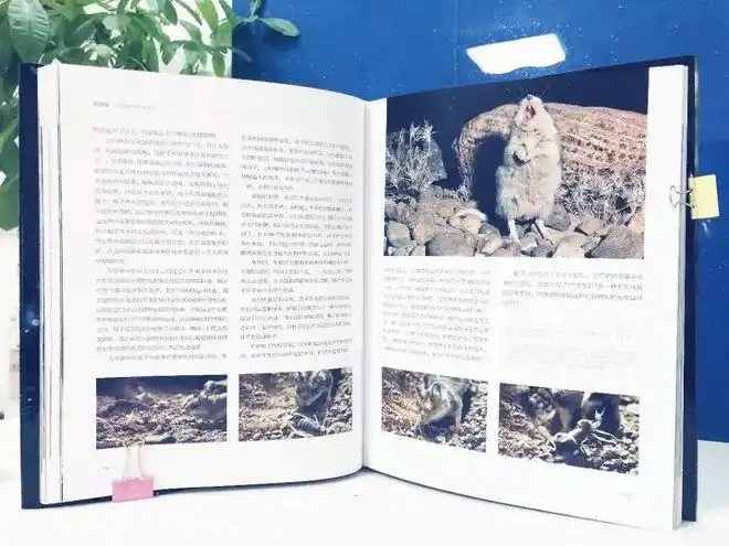 bbc科普三部曲:给孩子认识世界的新高度|地球|北极熊|科学|动物_网易