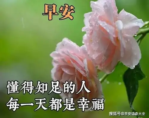 2021年6月4日星期五清晨早上好问候带字图片 周四最新早安祝福温馨