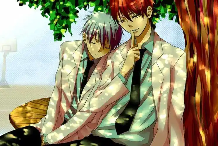 黑子的篮球 赤司征十郎 黑子哲也