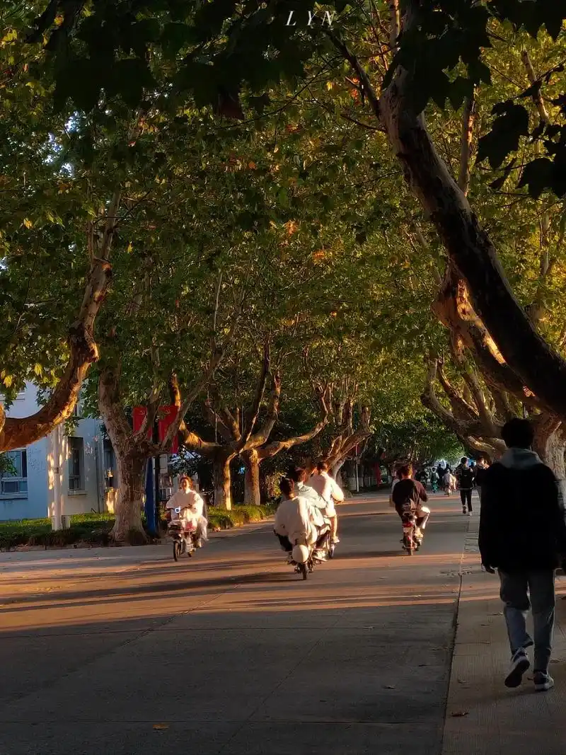 光影中的大学校园@扬州大学  #扬州大学 #摄影 #光影 # - 抖音