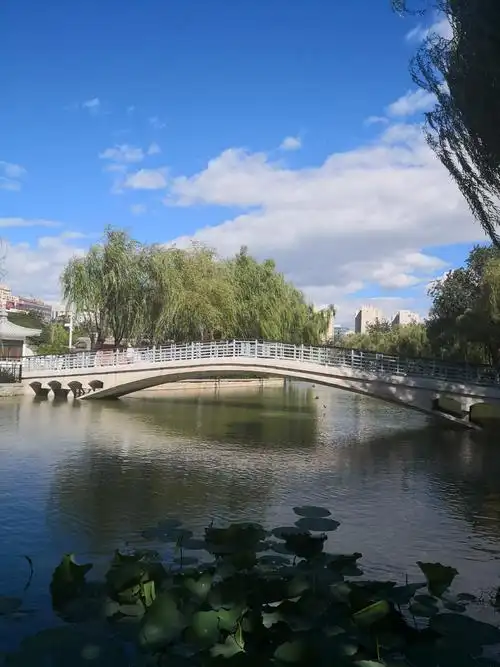 北京青年湖公园.蓝天白云很难见.2018-9-3.