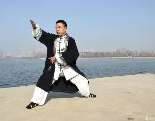 陈氏洪拳大师武运鹏武术表演