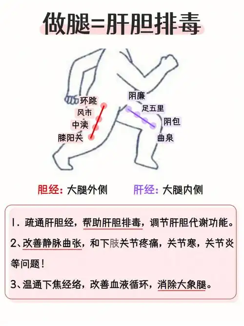 瘦大腿  #经络疏